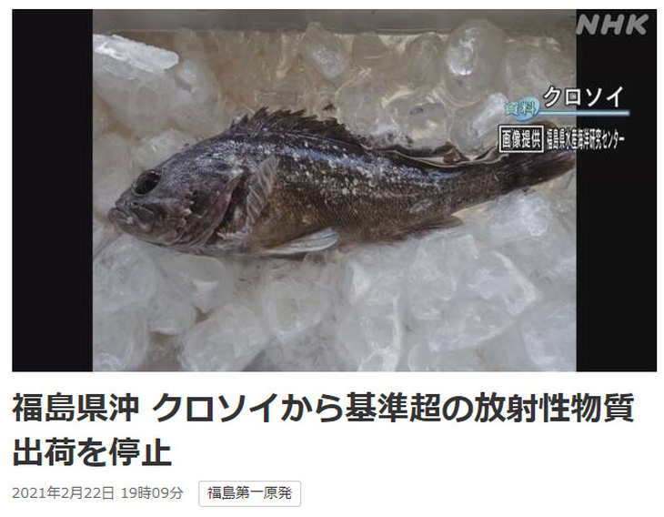 Nhật phát hiện cá nhiễm phóng xạ ở Fukushima - Ảnh 1.
