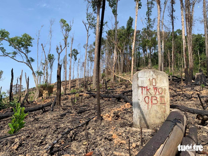 Mở rộng điều tra vụ án làm ngơ cho lâm tặc phá rừng tại Đắk Lắk - Ảnh 1.
