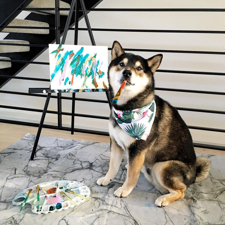 Chó Shiba bán 288 bức tranh tự vẽ, thu gần 18.000 USD - Ảnh 1.