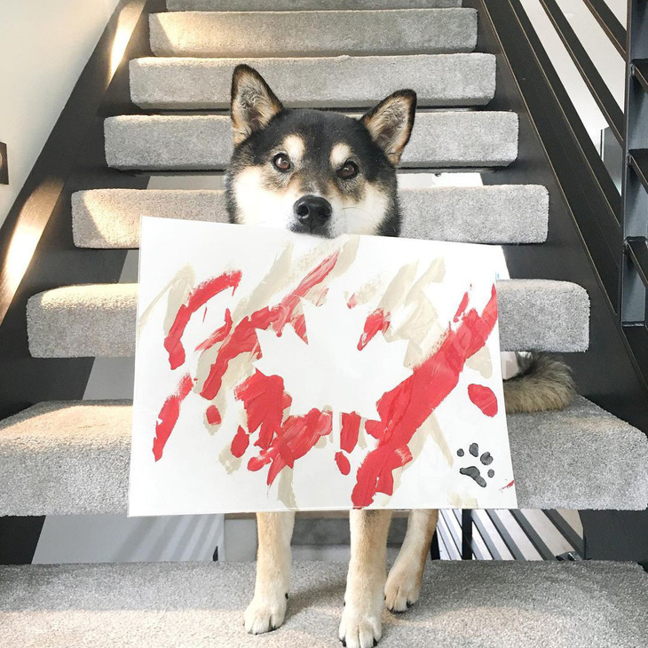 Chó Shiba bán 288 bức tranh tự vẽ, thu gần 18.000 USD - Ảnh 4.