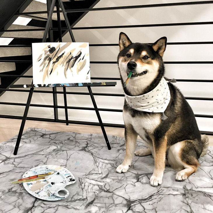 Chó Shiba bán 288 bức tranh tự vẽ, thu gần 18.000 USD - Ảnh 5.