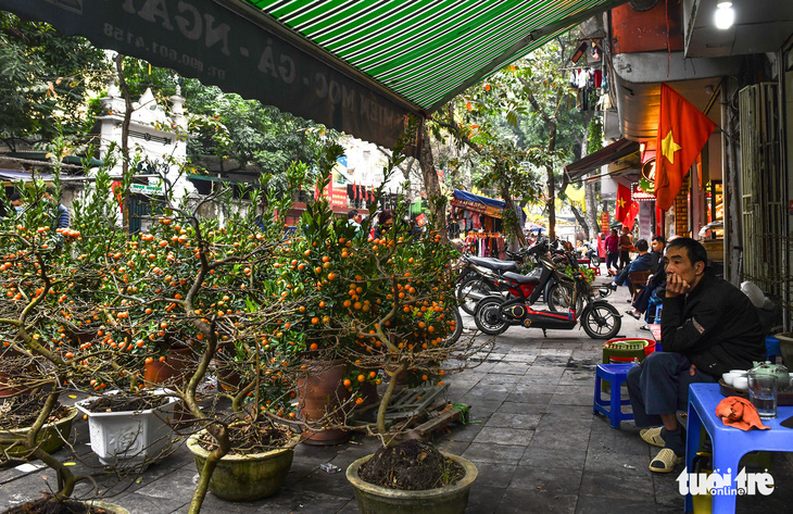 Gần tết, hoa thì tươi mà lòng người thì héo - Ảnh 8.