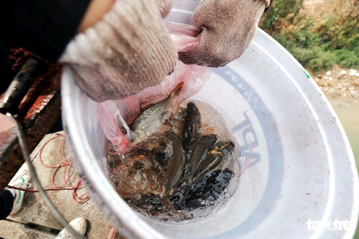 Nhóm bạn trẻ 8 năm giúp người Hà Nội thả cá chép, không thả túi nilông - Ảnh 5.