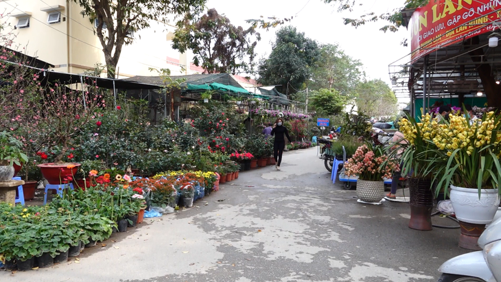 24 tết, người bán hoa tại Hà Nội xả hàng, giảm giá, chỉ mong huề vốn - Ảnh 5.