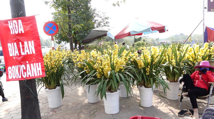 24 tết, người bán hoa tại Hà Nội xả hàng, giảm giá, chỉ mong huề vốn - Ảnh 4.