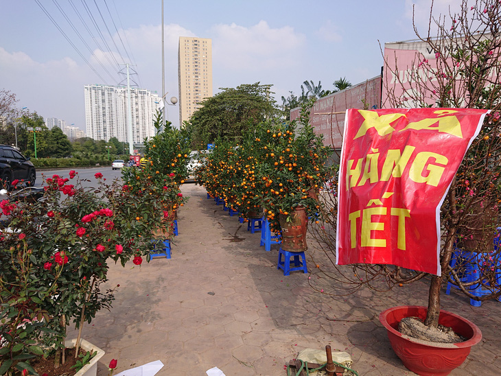 24 tết, người bán hoa tại Hà Nội xả hàng, giảm giá, chỉ mong huề vốn - Ảnh 1.