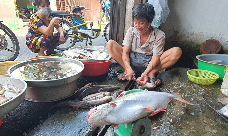 Săn món độc ăn tết - Ảnh 1.