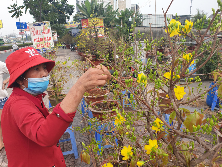 Sức mua chậm còn gặp mưa, người bán hoa trái ở Sài Gòn lo sốt vó - Ảnh 1.