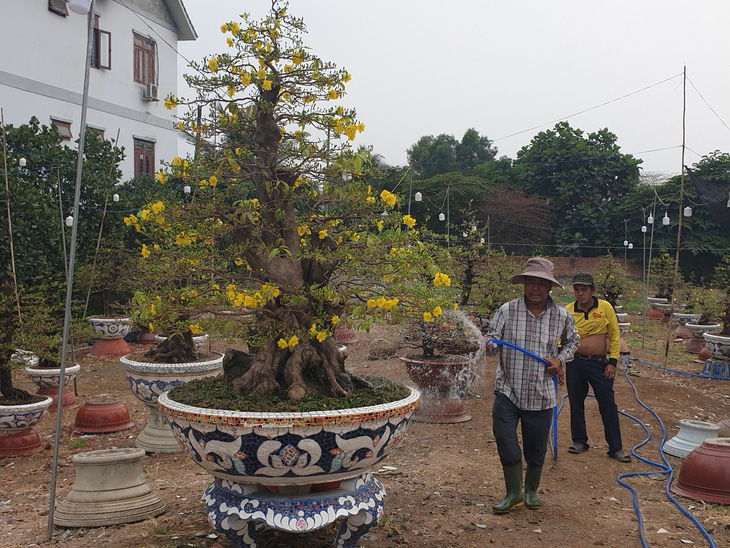 Sức mua chậm còn gặp mưa, người bán hoa trái ở Sài Gòn lo sốt vó - Ảnh 2.