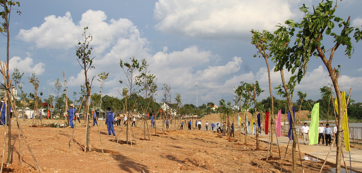 Bình Phước bỏ 54 tỉ đồng trồng 1 triệu cây xanh trong năm 2021 - Ảnh 1.