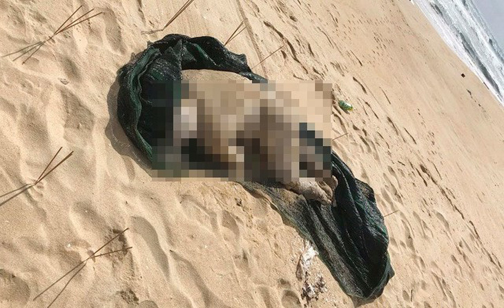 Một thi thể đang phân hủy trôi dạt vào bãi biển Bình Định - Ảnh 1.