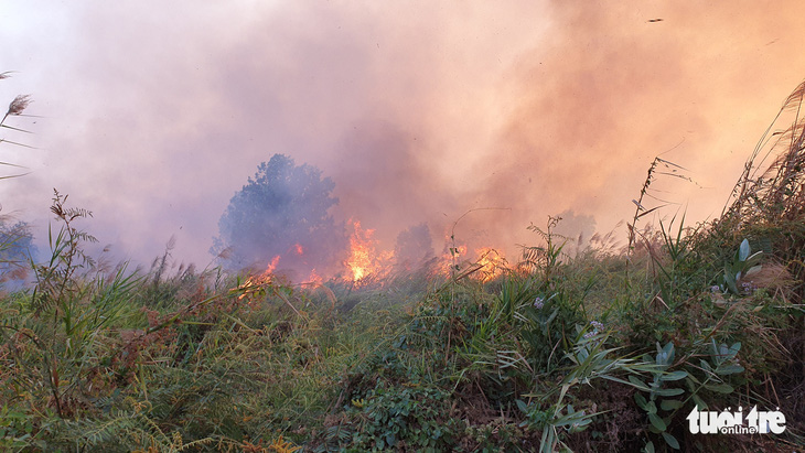Cháy lớn tại đồng cỏ trong Khu công nghệ cao gần Samsung - Ảnh 6.