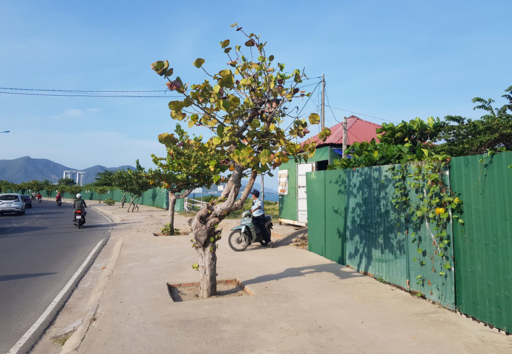 Cưỡng chế thu hồi dự án lấn vịnh Nha Trang, lấy đất xây công viên - Ảnh 2.