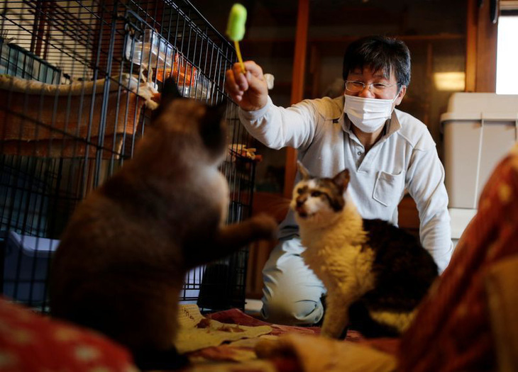 10 năm thảm họa Fukushima: Người ở lại vùng nhiễm phóng xạ giải cứu mèo - Ảnh 1.