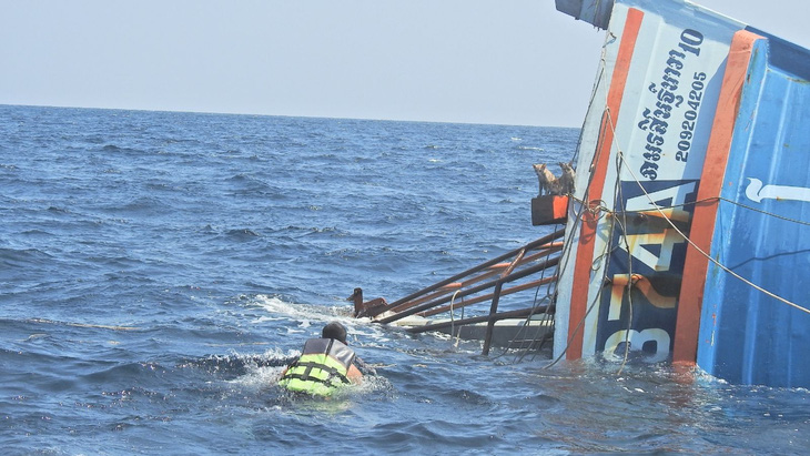 Hải quân Thái Lan đốn tim với việc bơi cứu 4 con mèo từ tàu sắp chìm - Ảnh 2.