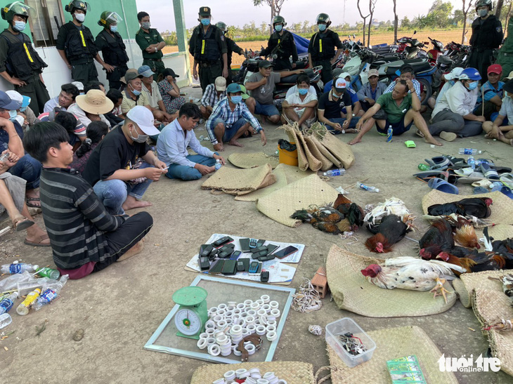 Che bạt để đá gà quy mô lớn ở Tiền Giang, 42 người bị bắt tại trận - Ảnh 1.