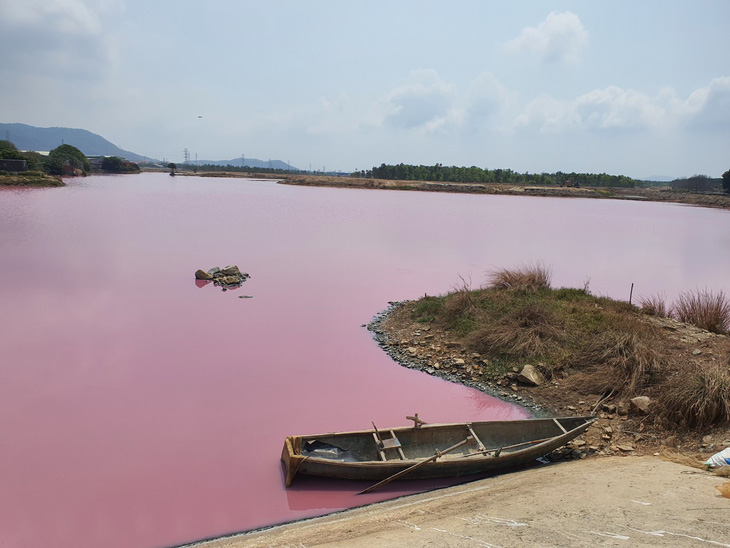 Đầm nước ở Bà Rịa - Vũng Tàu bỗng biến thành màu hồng tím - Ảnh 1.