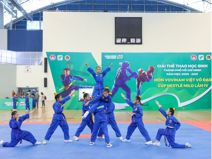 Vovinam và tinh thần ủng hộ môn võ của người Việt - Ảnh 5.