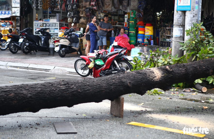 TP.HCM: Mưa to gió lớn, cây ngã đè xe máy làm 2 người bị thương - Ảnh 5.