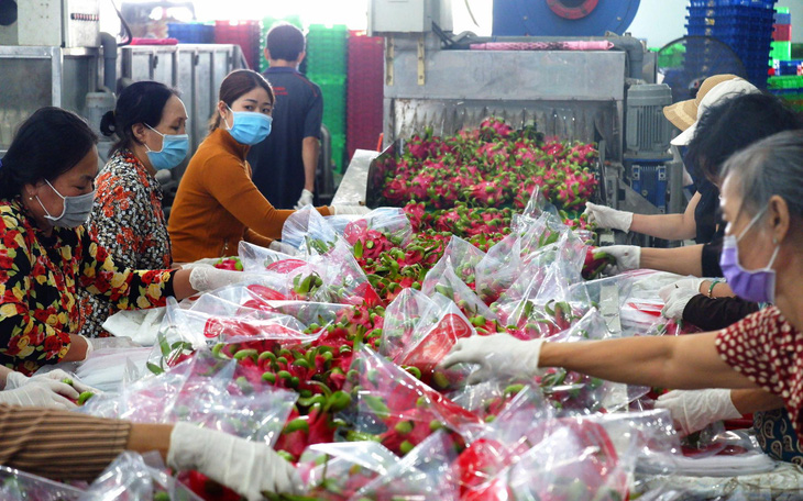 Bí thư Tỉnh ủy Long An Nguyễn Văn Được: Kinh tế công nghệ cao là quy luật phát triển tất yếu