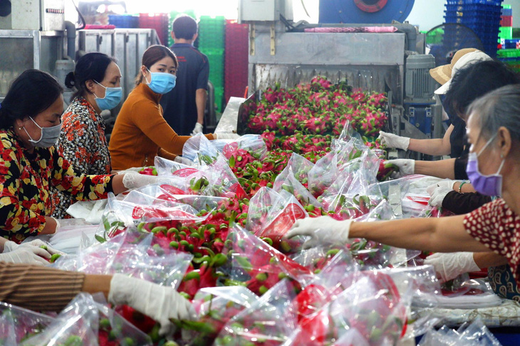 Bí thư Tỉnh ủy Long An Nguyễn Văn Được: Kinh tế công nghệ cao là quy luật phát triển tất yếu - Ảnh 1.