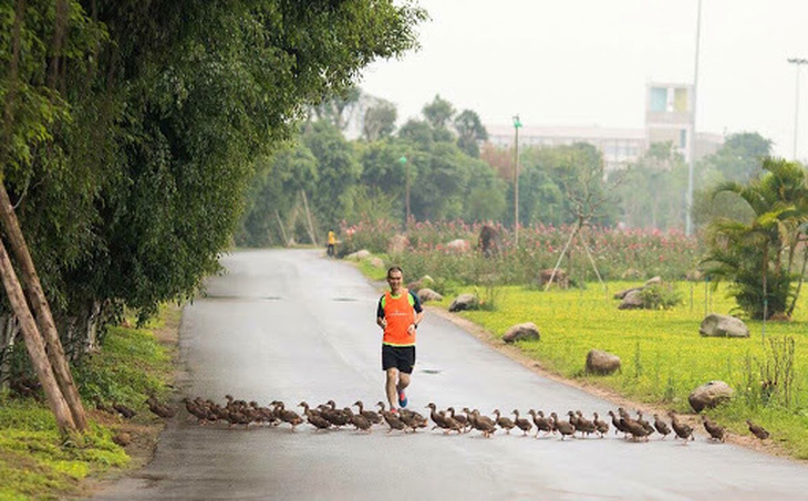 Cung đường chạy marathon đẹp như mơ tại Ecopark - Ảnh 4.