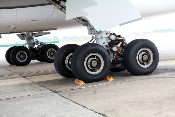 Máy bay Airbus A321 bị vỡ ống dầu phanh vì va phải chim - Ảnh 1.