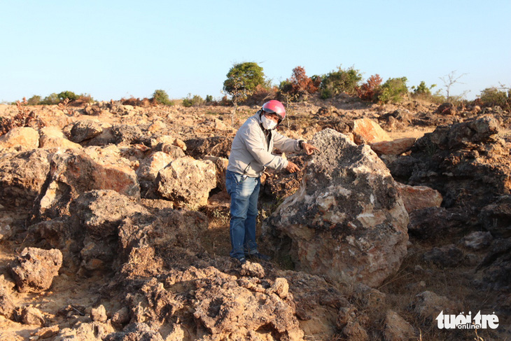 Ninh Thuận mời chuyên gia địa chất phân tích bãi đá cổ - Ảnh 4.
