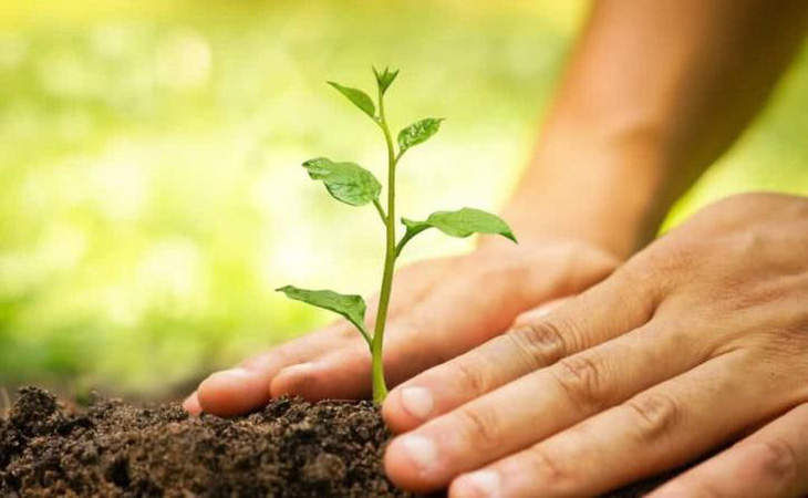 Bệnh nhân Ấn Độ lành COVID được khuyên trồng cây trả lại oxy cho tự nhiên - Ảnh 1.