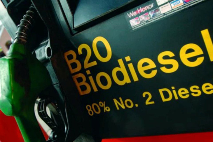 Indonesia là nhà sản xuất dầu diesel sinh học lớn nhất thế giới - Ảnh 1.