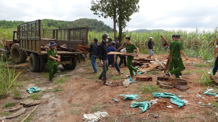 Khởi tố 37 người tham gia phá rừng giáp ranh Đắk Lắk - Phú Yên - Ảnh 4.