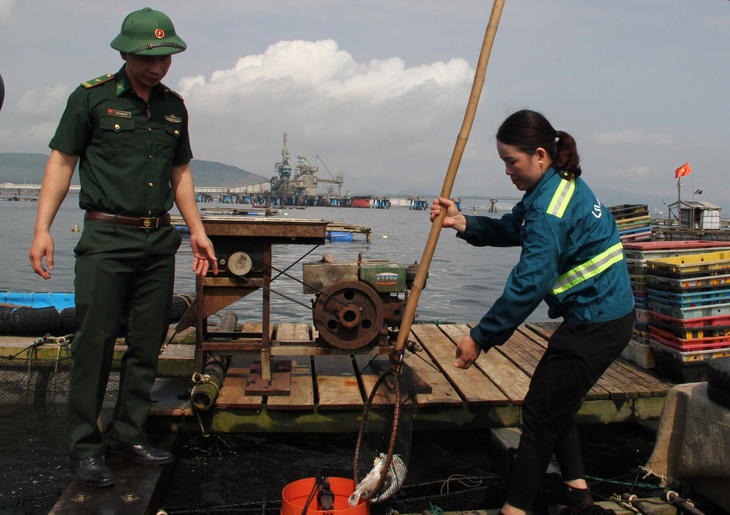 Vụ cá chết ở ven biển Thanh Hóa: Không bán cá chết ra thị trường, giữ cá nuôi lồng - Ảnh 1.