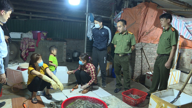 Bắt quả tang cơ sở bơm tạp chất hàng tấn tôm cho các nhà hàng Hà Nội mỗi tháng - Ảnh 1.