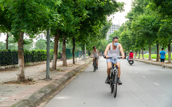 Hàng cây ở khu Ngoại giao đoàn là phong lá đỏ?