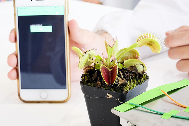 Singapore chế tạo robot thực vật có thể nhặt được những vật thể mỏng - Ảnh 1.