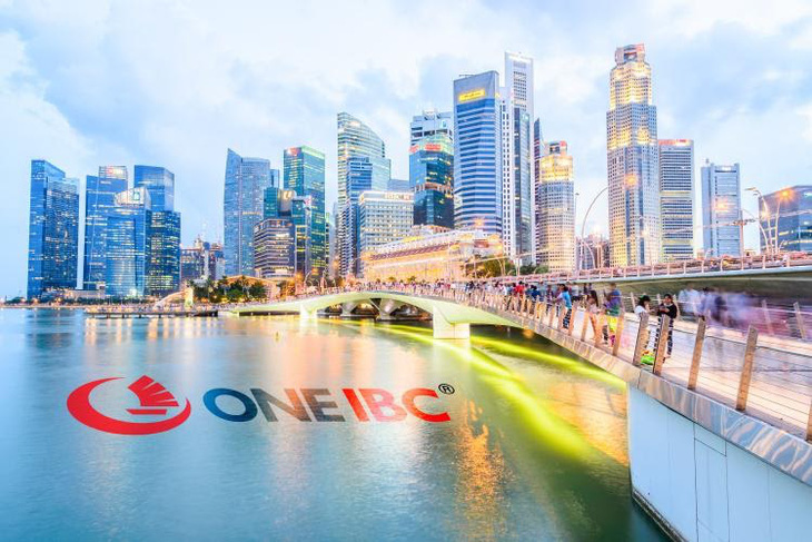 One IBC: Quy trình thành lập công ty tại Singapore nhanh chóng, hiệu quả - Ảnh 2.