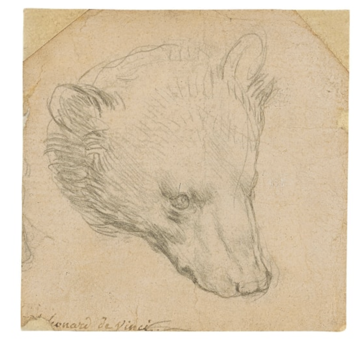 Phác họa đầu gấu của Leonardo da Vinci dự kiến bán 16 triệu USD - Ảnh 1.