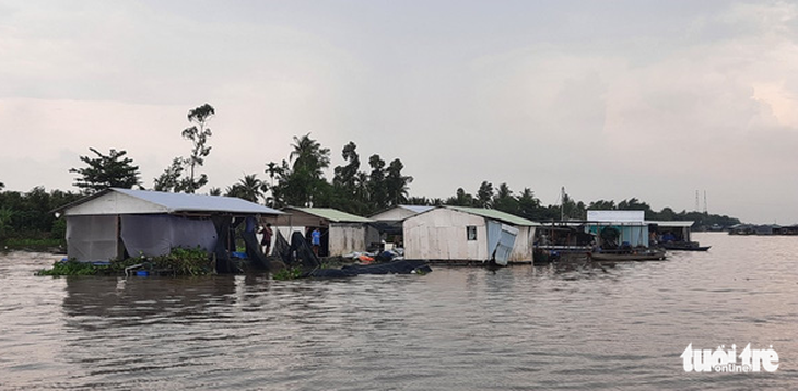 Sà lan chở 27 container đâm chìm bè cá trắm cỏ chuẩn bị thu hoạch - Ảnh 2.