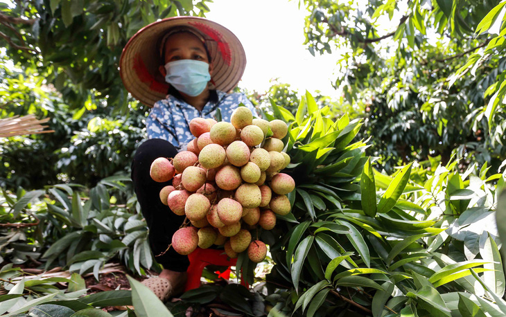 Phó thủ tướng yêu cầu tăng cường hỗ trợ, tiêu thụ nông sản cho Bắc Giang - Ảnh 1.