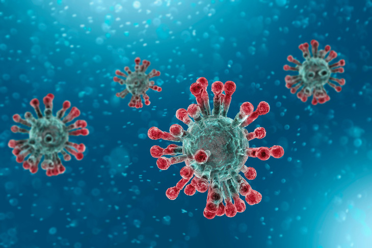 Phát hiện mới về tế bào miễn dịch ở những ca người đã khỏi bệnh COVID-19 - Ảnh 1.