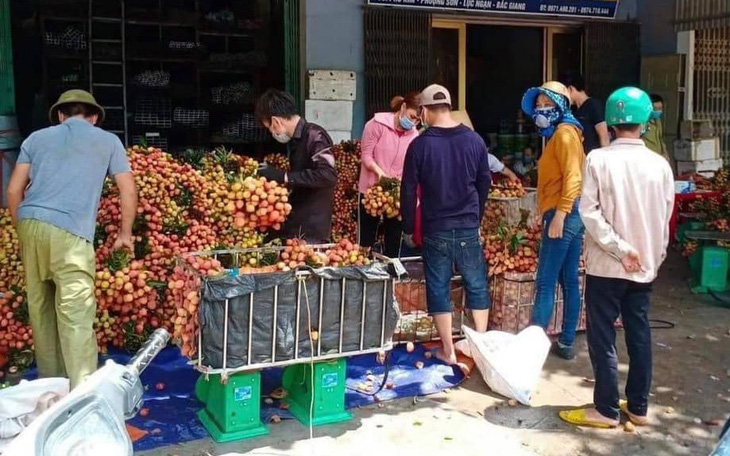 Vải thiều Lục Ngạn - Bắc Giang bị ép giá còn 2.000 đồng/kg?