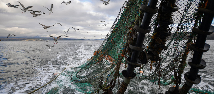 Seaspiracy - Sự thật về nghề cá bền vững - Máu của cá và của đại dương - Ảnh 3.