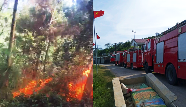 Cả trăm người đang dập lửa cứu rừng thông cháy trong nắng nóng - Ảnh 2.