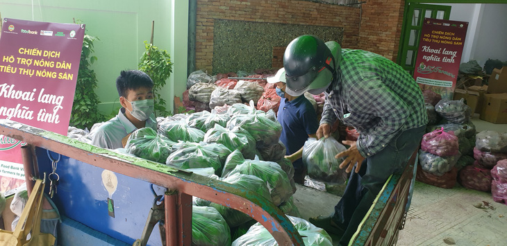 Khoai lang Vĩnh Long kêu gọi giải cứu vì không xuất được sang Trung Quốc - Ảnh 2.