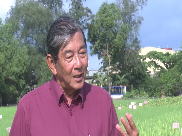 Ông Hồ Quang Cua: Muốn nhượng bản quyền gạo ST25 cho Nhà nước với giá xứng đáng - Ảnh 3.