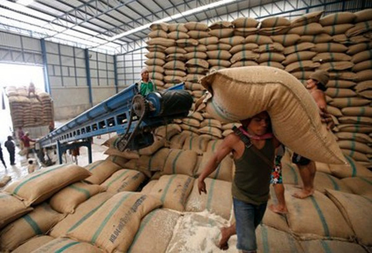 Thái Lan giảm phụ phí xuất khẩu gạo sang EU và Anh - Ảnh 1.