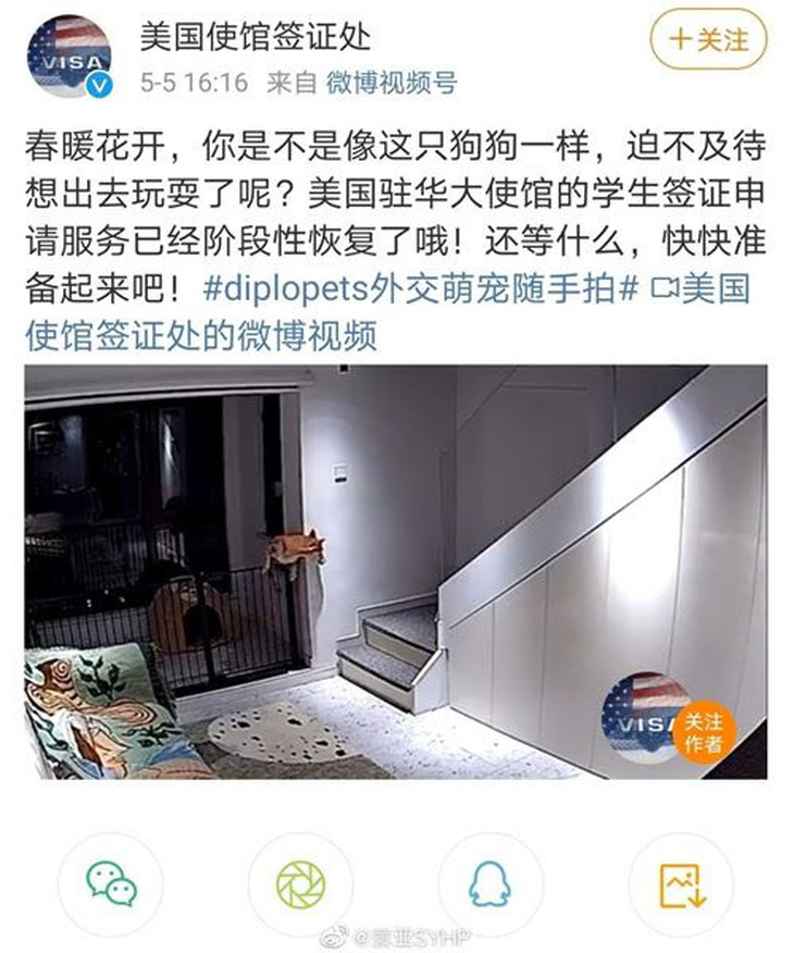 Đại sứ quán Mỹ xin lỗi việc đăng bài trên Weibo ví sinh viên Trung Quốc như chó - Ảnh 2.