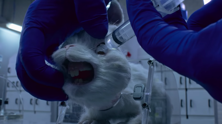 Phim Save Ralph có HHen Niê tham gia lên án việc thí nghiệm trên động vật - Ảnh 3.