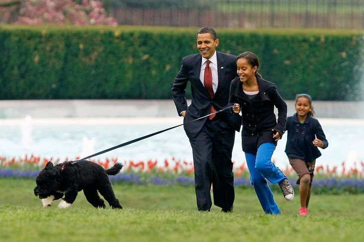Gia đình Obama vĩnh biệt cún cưng bị ung thư - Ảnh 2.