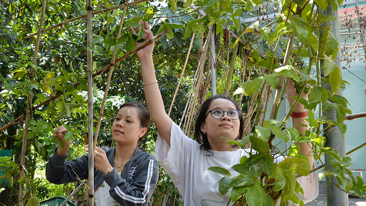 Sáng tạo để trẻ chơi trong hè - Ảnh 1.